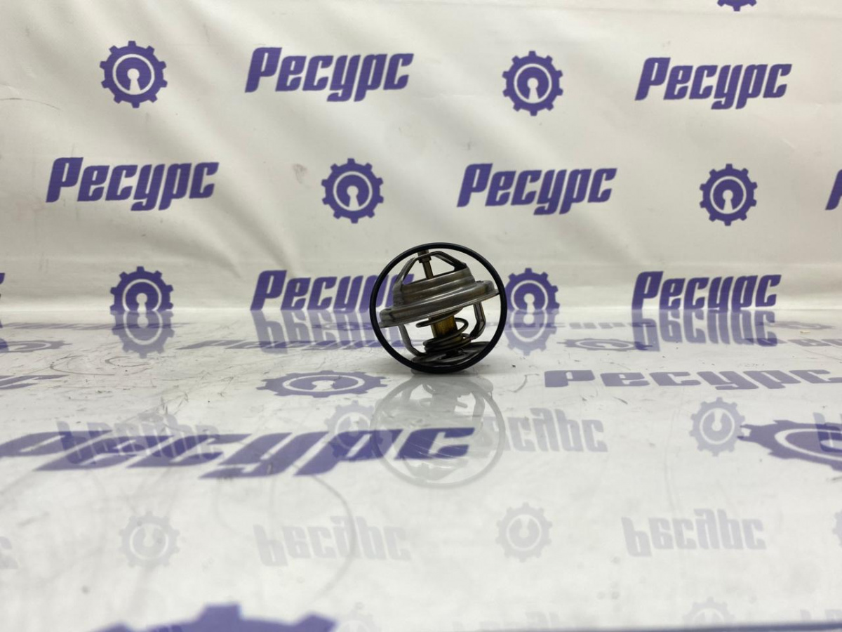 Термостат 76°С WP12 X3000